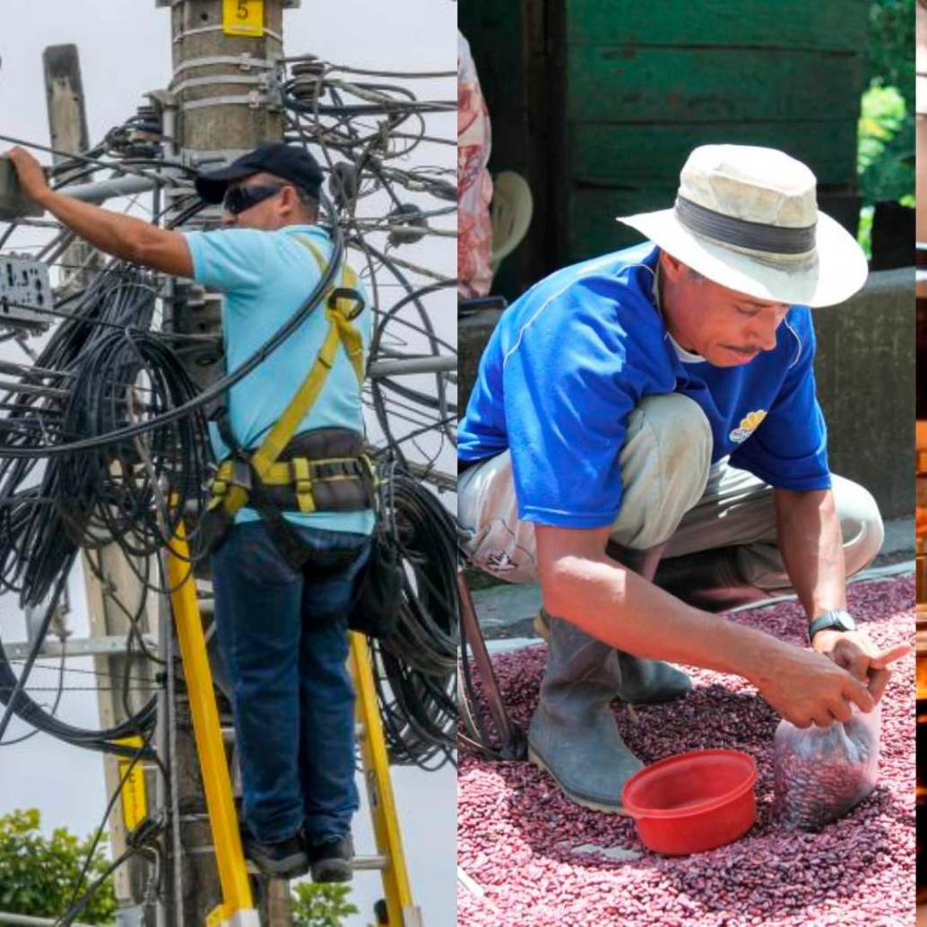 El informe de Anthropic muestra que muchos trabajos manuales tienen menor exposición a la inteligencia artificial que los empleos digitales de oficina. FOTOS: EL COLOMBIANO 