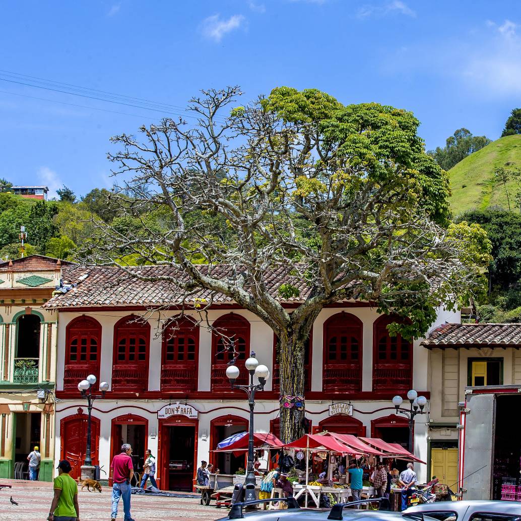 La presentación oficial ante la ONU Turismo será el 19 de mayo de 2025. FOTO Juan Antonio Sánchez 