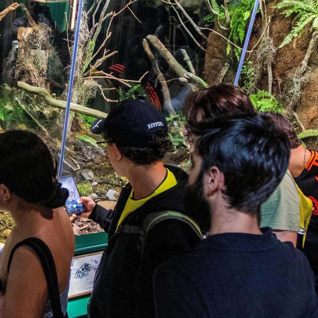 La Administración Distrital destinó un presupuesto de $5.300 millones de pesos para la estrategia de Formación de Públicos el primer semestre de este año. Foto: Julio Herrera. 