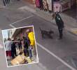 El accionar de este uniformado con el perro en la zona central de Rionegro provocó una asonada por parte de la comunidad indignada. FOTOS: CORTESÍA