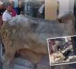 Este fue el toro que generó caos en las calles de Remedios, Antioquia, intentando meterse a los establecimientos comerciales (detalle). FOTOS: CORTESÍA ALCALDÍA DE REMEDIOS