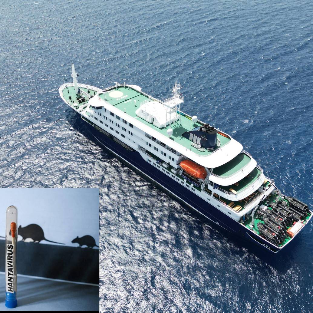 La Organización Mundial de la Salud declaró el fin del brote de un virus que generó pánico por su propagación en turistas de diferentes nacionalidades que iban en un crucero. Foto: AFP