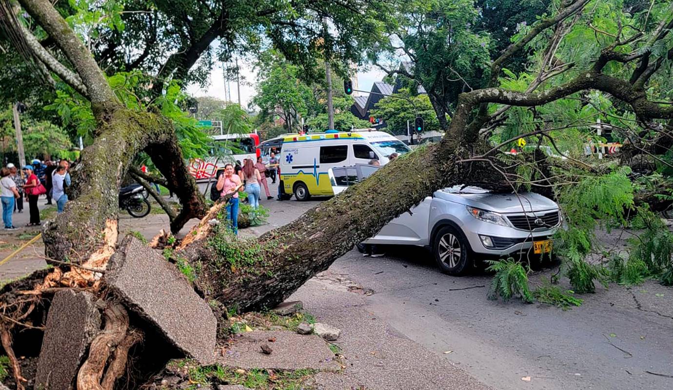 Este incidente se suma a otros recientes en la ciudad, lo que ha generado preocupación entre la ciudadanía. Julio Herrera