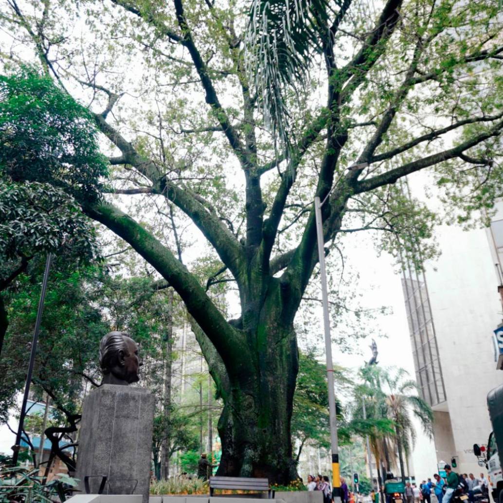 /FOTO: ALCALDÍA DE MEDELLÍN