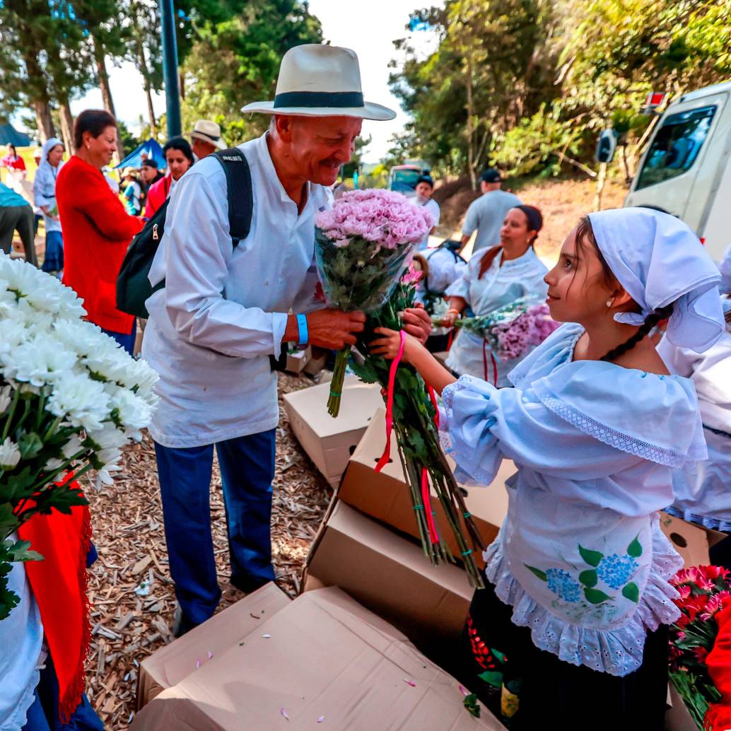 En Santa Elena, cada año, el Trueque de Flores nos recuerda que la verdadera esencia de la Feria no está en el desfile final, sino en el cuidadoso y emotivo proceso que lo antecede, en la manos de quienes dedican su vida a cultivar la belleza y a celebrar la tradición. Foto: Manuel Saldarriaga Quintero