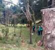El viernes pasado se dio un rifirrafe entre habitantes de la vereda San Ignacio y quienes cortaban los árboles. FOTO: TOMADA DE VIDEO