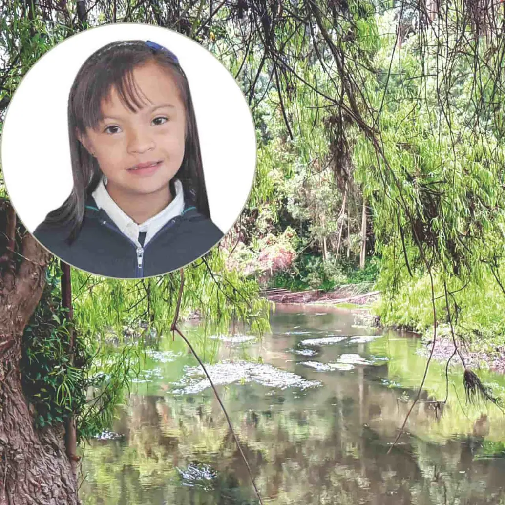 El Río Frío se encuentra contiguo al colegio. No es caudaloso pero está lleno de ramas y árboles caídos. FOTO EL COLOMBIANO
