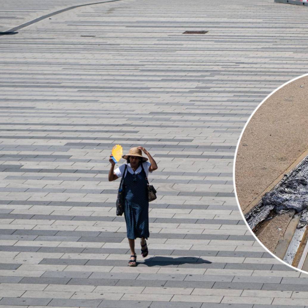 Alemania es uno de los países más afectados por la ola de calor en su infraestructura donde las altas temperaturas han provocado que las vías del tren se derritan. Fotos: Xinhua y @PresstvExtra