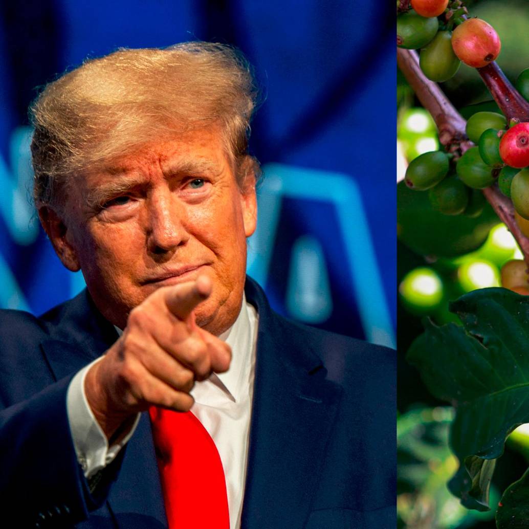 La Casa Blanca, en cabeza de Donald Trump, informó que se retiraron los aranceles al café y otros productos. FOTO GETTY