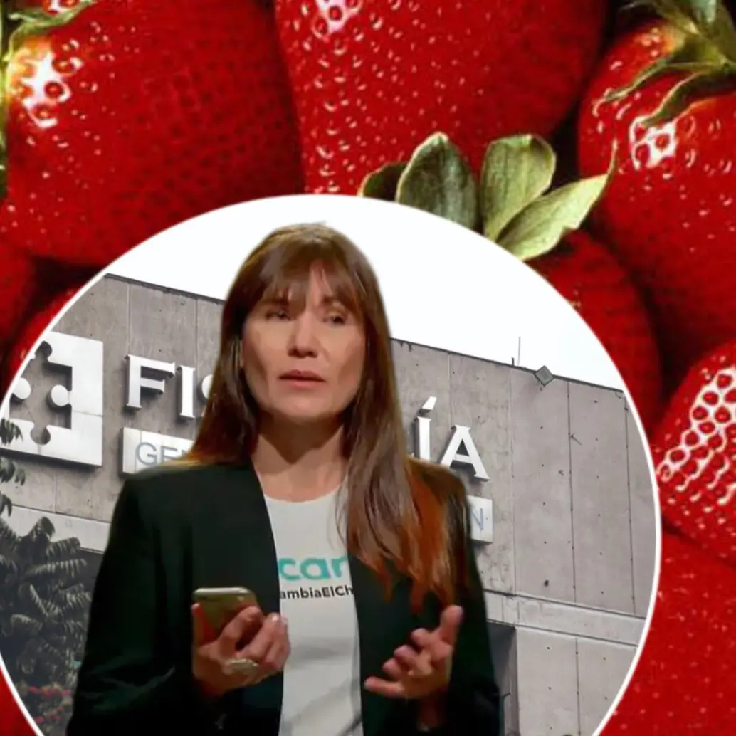 Las propinas al domiciliario y los números vinculados a la entrega de las frambuesas serían otras pistas que la Fiscalía usaría en contra de la empresaria Zulma Guzmán en medio de la investigación por el fallecimiento de dos niñas envenenadas con talio. Fotos: Colprensa y captura video