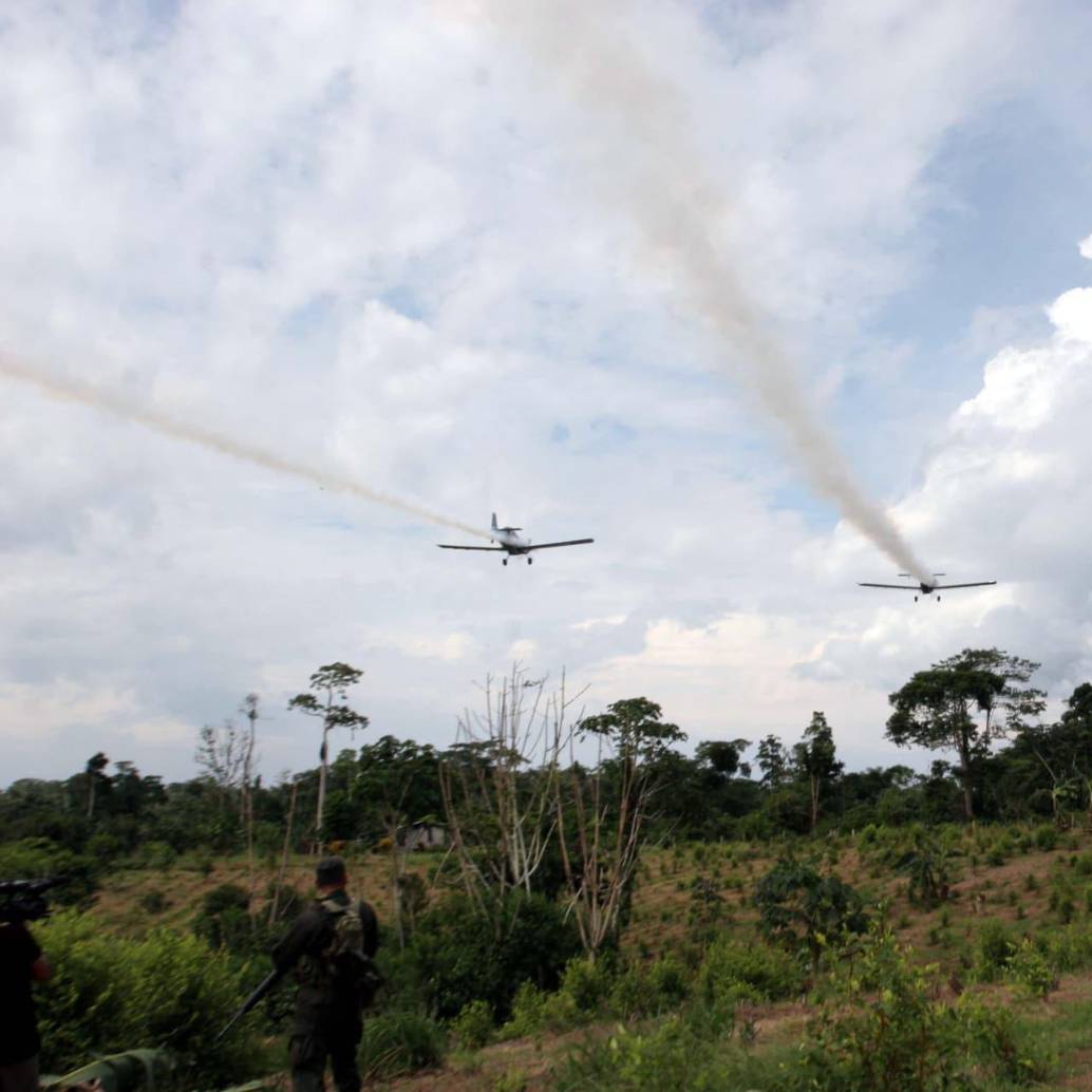 Más de cinco mil denuncias fueron radicadas por el uso desproporcionado del químico en estos tres municipios de Nariño entre 2002 y 2013. Foto: Colprensa
