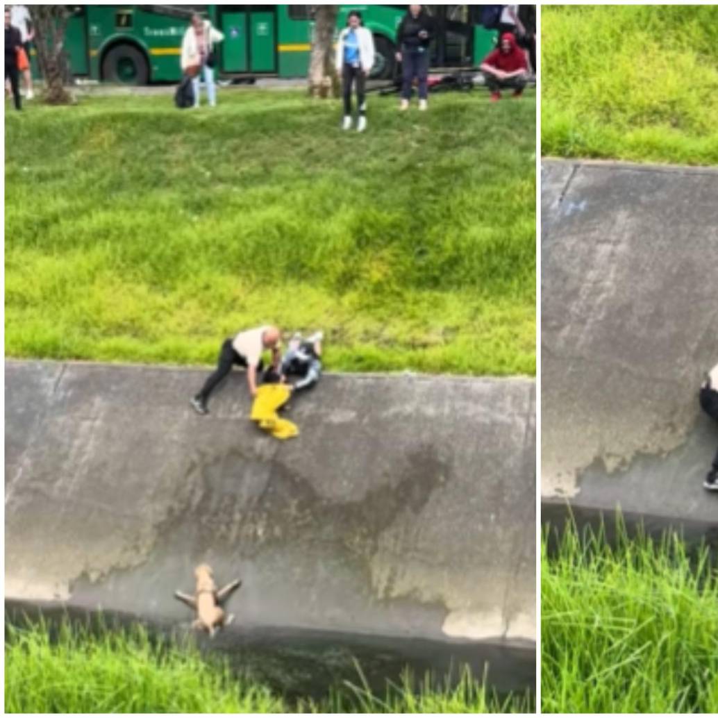 Los dos ciudadanos hicieron una cadena humana y utilizaron una chaqueta amarilla para poder llegar hasta donde estaba el perro en el caño en Bogotá. FOTO: Captura de video de redes sociales @yicelatriana