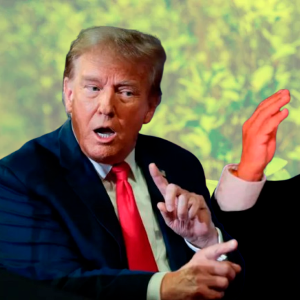 El Gobierno Petro defiende resultados, incluso reabre la puerta al uso de glifosato, mientras Trump decidirá si mantiene la cooperación clave en ayudas y relaciones bilaterales. FOTO: GETTY/EL COLOMBIANO/COLPRENSA
