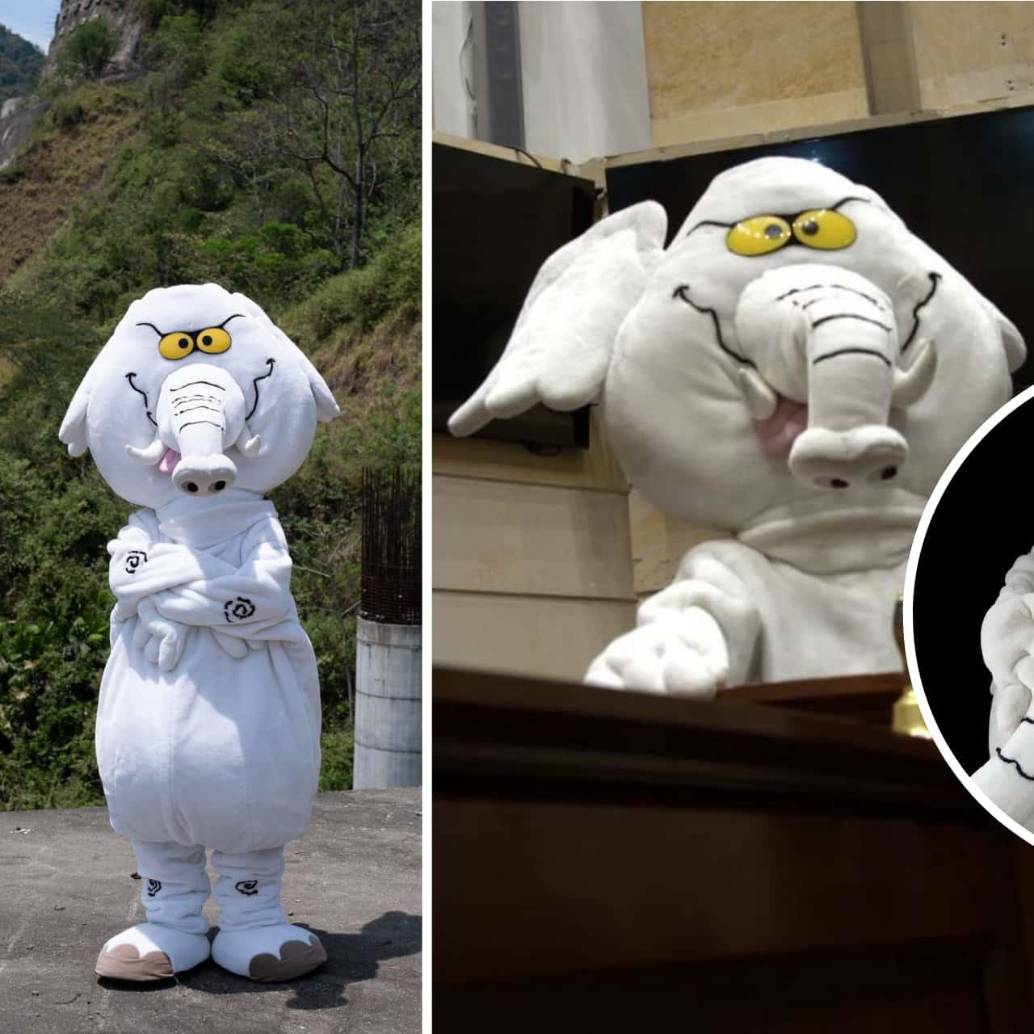 ¿Quién es el “Elefante Blanco” que llegó al Senado? Esta es su historia. Foto: redes sociales @elefantescol
