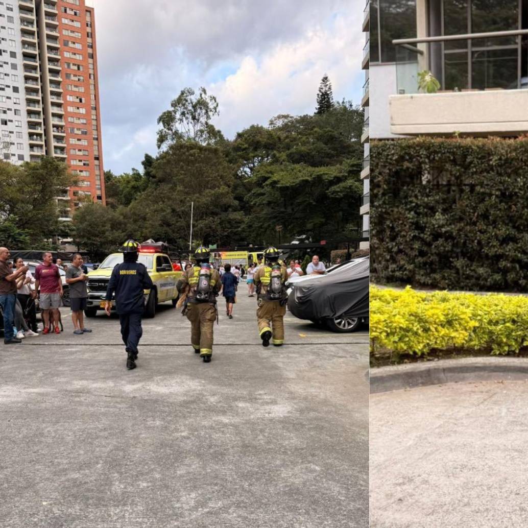 Bomberos rescataron a dos gatos y un perro de un incendio en un apartamento en Medellín. FOTO: CORTESÍA