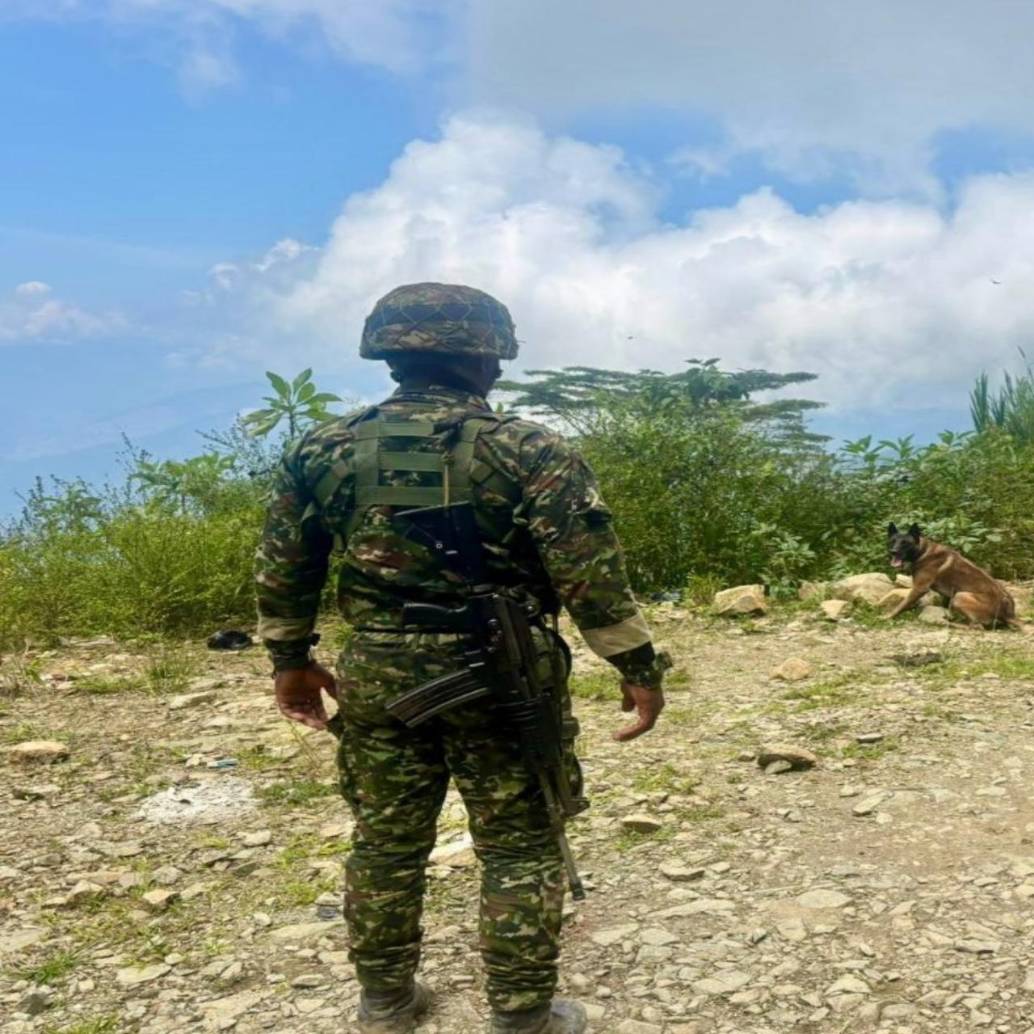 Adelante, un explosivo improvisado. Atrás, un soldado y su perro antiexplosivos en labores de detección. FOTO: Cortesía