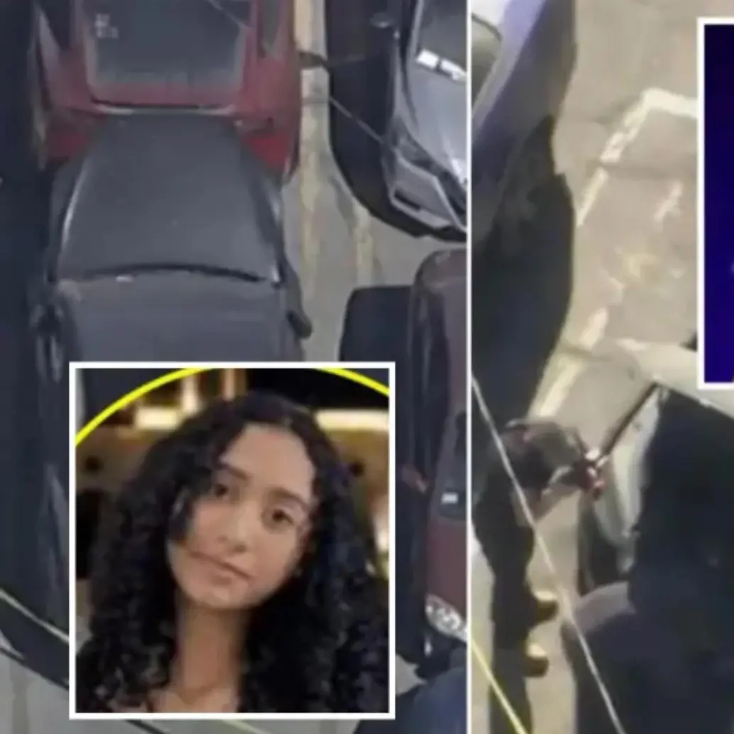 El cuerpo descuartizado que fue encontrado en estado de descomposición en el maletero de un Tesla, registrado a nombre de la estrella emergente del rap D4vd. FOTO: Captura de video de redes sociales @CIQueretaro y D4vd