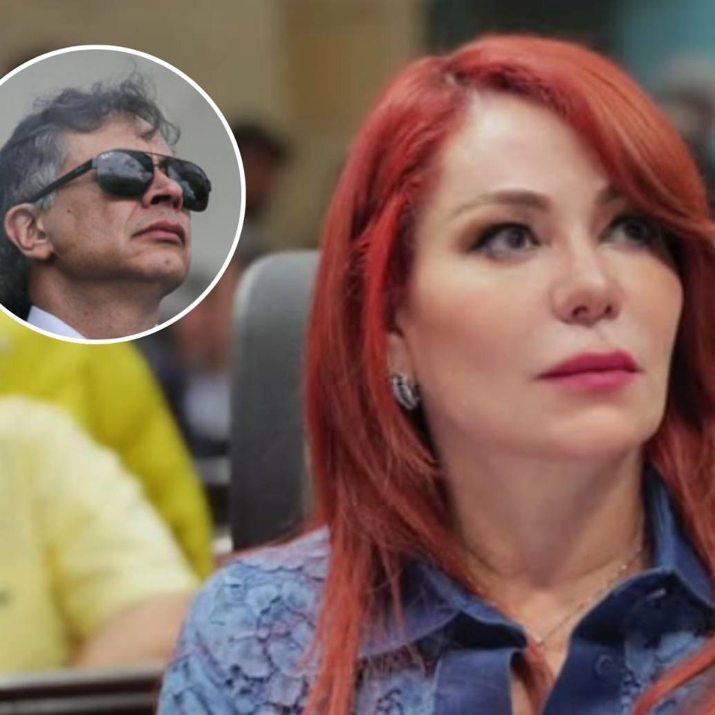 Hace tan solo unas horas, se conoció un auto en el que la presidenta de la Comisión de Acusaciones habría adelantado una “suspensión” a Gustavo Petro. Sin embargo, esto tiene que pasar por un proceso jurídico diferente. 
