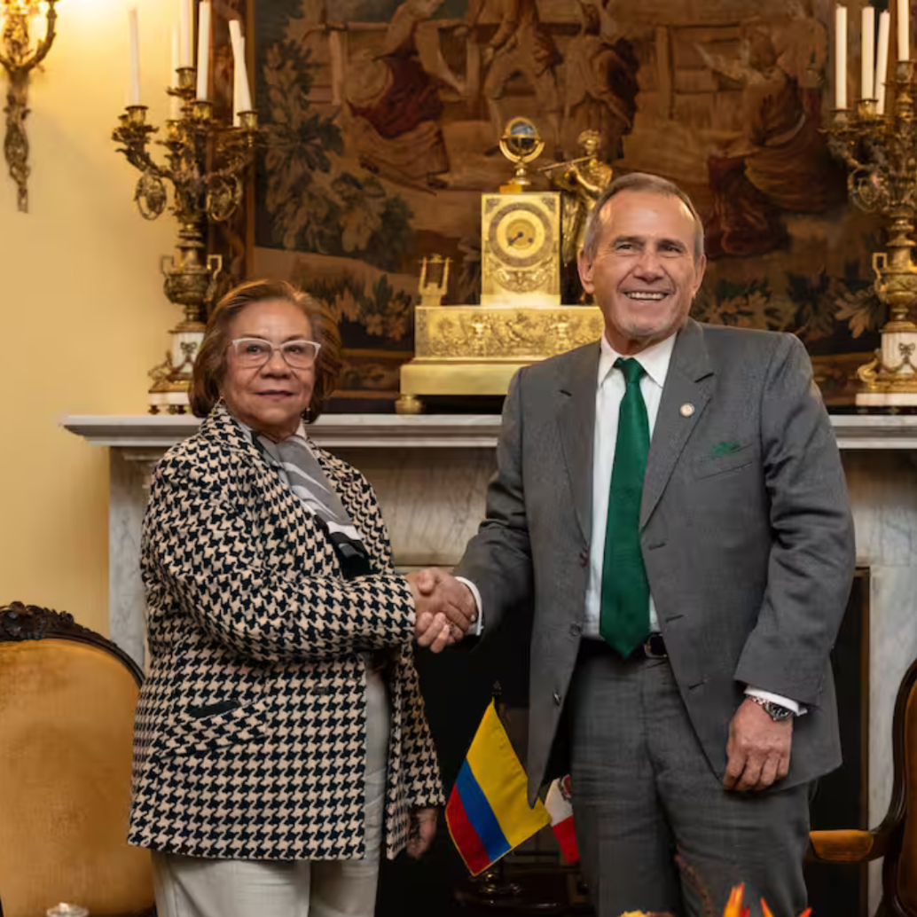 La canciller de Colombia, Rosa Villavicencio, y el ministro de Relaciones Exteriores de Perú, Elmer Schialer. Foto: Cancillería