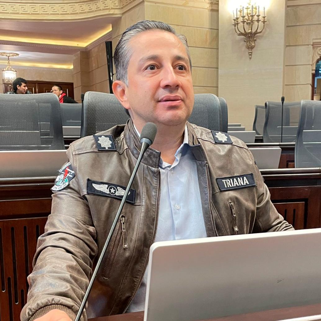 Triana instó al Gobierno Nacional a trazar una política de choque que garantice la movilidad de los candidatos y la posibilidad de acceder al derecho a elegir y ser elegido. FOTO: X @TrianaCongreso