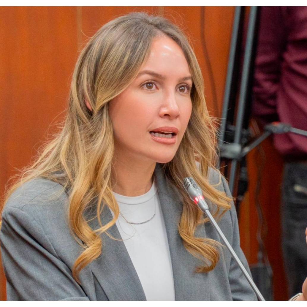 Castañeda gozaba de medidas cautelares y tenía derecho al voto ante la sanción de Cambio Radical; sin embargo, la resolución del CNE echó al traste esa medida. FOTO: X @AnyMarCas