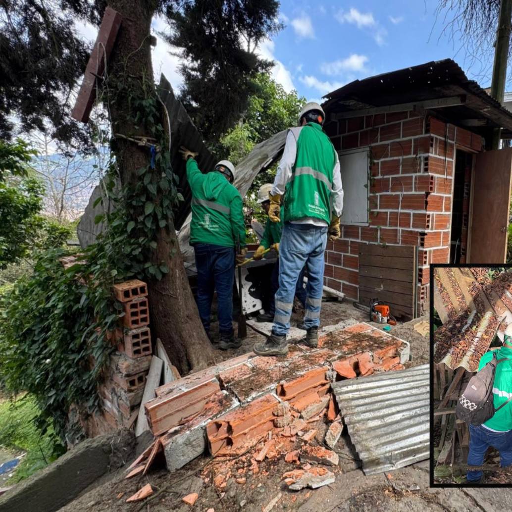 Algunas de las casetas intervenidas durante el operativo de las autoridades. FOTO: Cortesía.