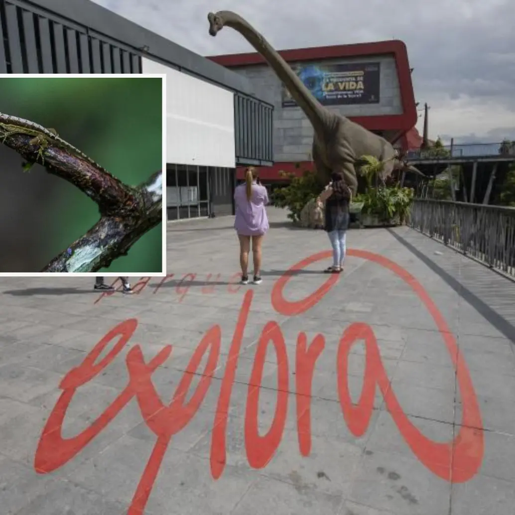 El Parque Explora es un referente de ciudad que combina ciencia con entretenimiento. Foto: EL COLOMBIANO