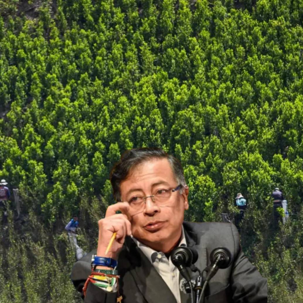 Durante el último Consejo de Ministros, el presidente Gustavo Petro aseguró que los informes de la ONU son imprecisos. FOTO: Julio Herrera y Colprensa.