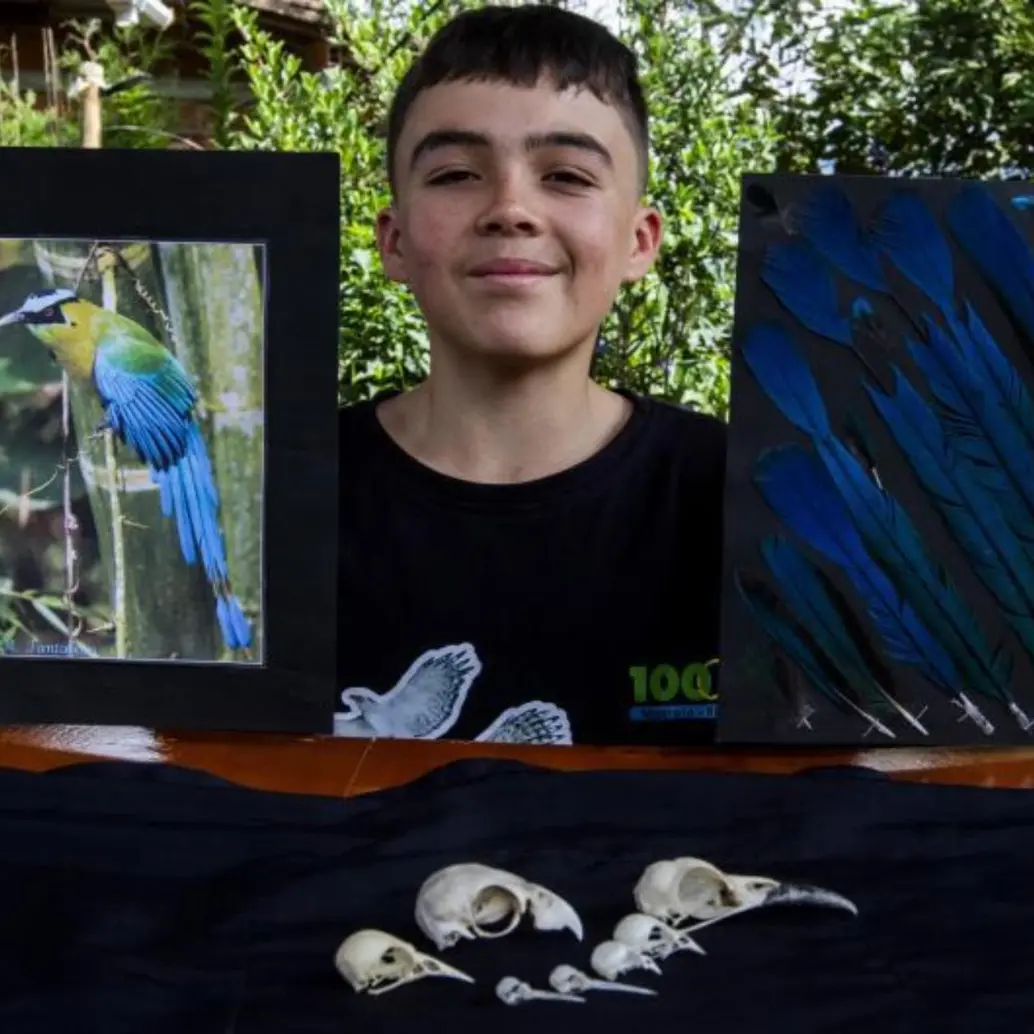 Brahian enseñando la cantidad de plumas de aves que guarda en su fólder, y los cráneos de varios ejemplares característicos de la zona. <b> </b>FOTOS<b> JULIO CÉSAR HERRERA. </b>