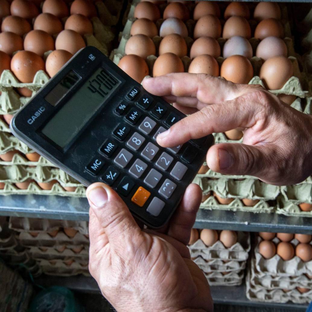 Colombia será el mayor consumidor de huevo per cápita en el mundo, en cinco años, asegura Fenavi. FOTO EL COLOMBIANO