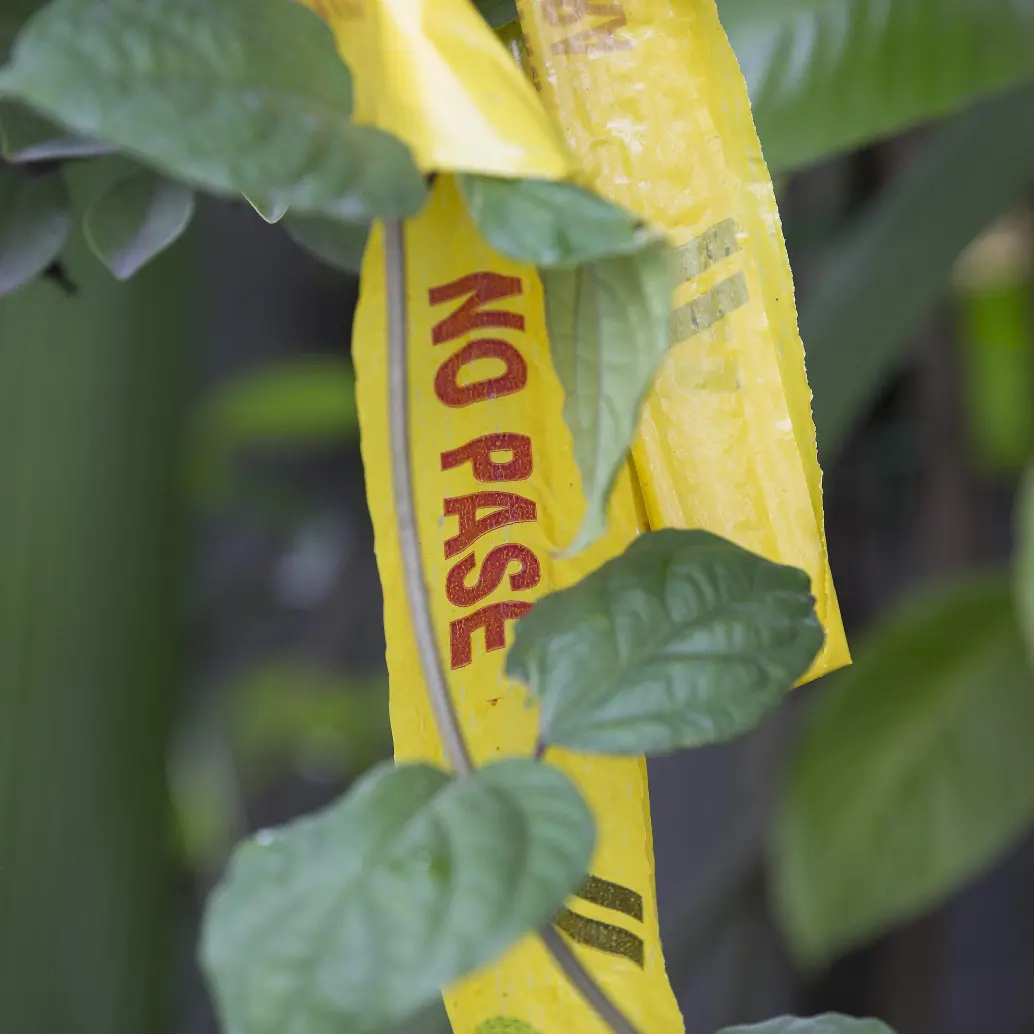 El triple homicidio ocurrió en la vereda Santa Ana, en Abejorral. FOTO: Edwin Bustamante Restrepo