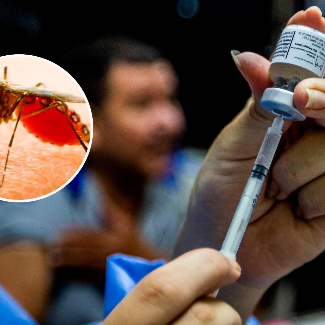 Tolima es el departamento con más casos y muertes por fiebre amarilla. FOTOS: Julio César Herrera y Colprensa