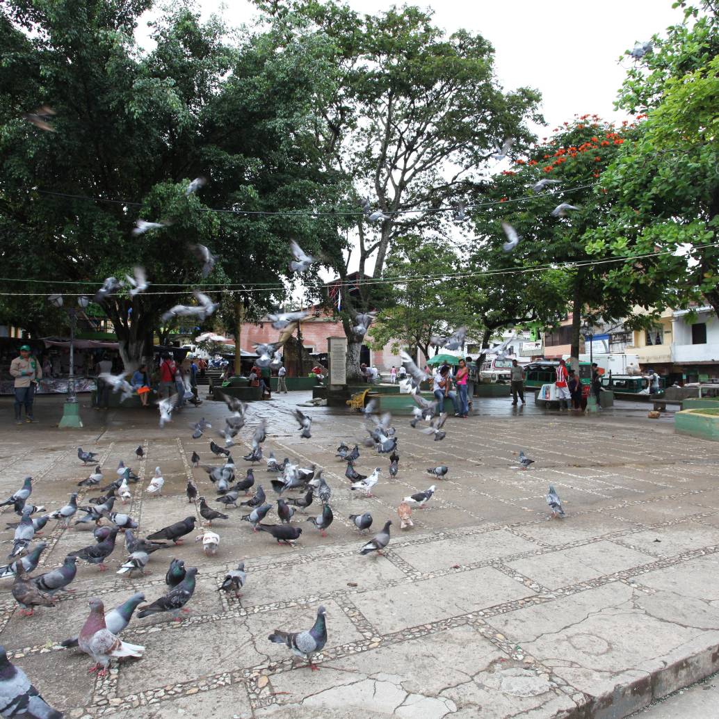 Imagen de referencia del municipio de Segovia. Foto: Jaime Pérez Munévar