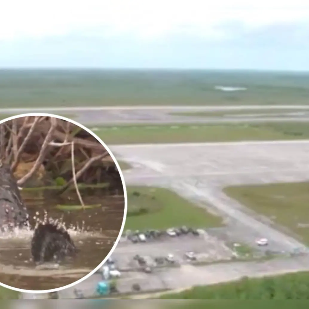 Alligator Alcatraz se construirá en un aeropuerto abandonado cerca a un humedal en donde habitan caimanes y otros animales. Fotos: Captura de video fiscal de Florida, James Uthmeier