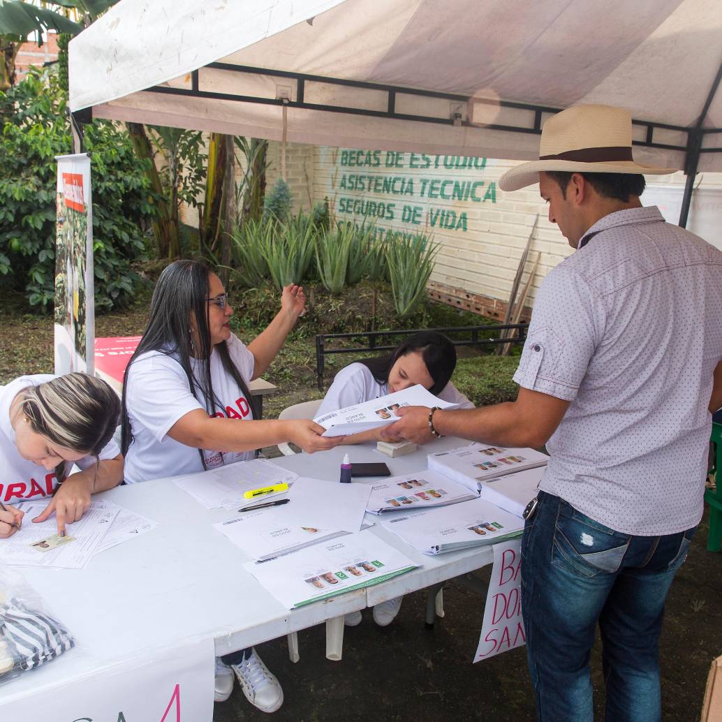  Más de 560.000 familias cafeteras podrán elegir a sus representantes mediante voto electrónico o presencial durante las elecciones gremiales de 2026. FOTO 