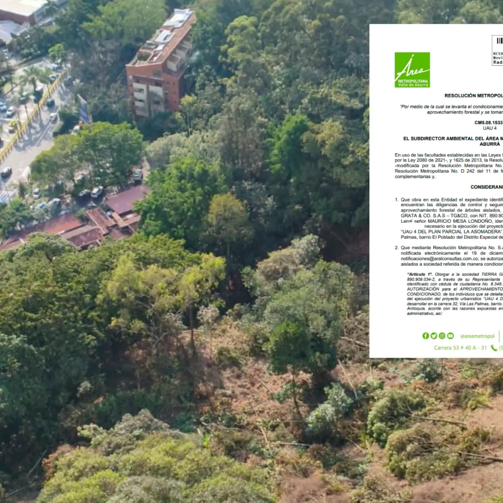 Esta es la zona donde se realiza la tala para erigir dos unidades residenciales en un lote cercano a Las Palmas. FOTO: Cortesía Área Metropolitana