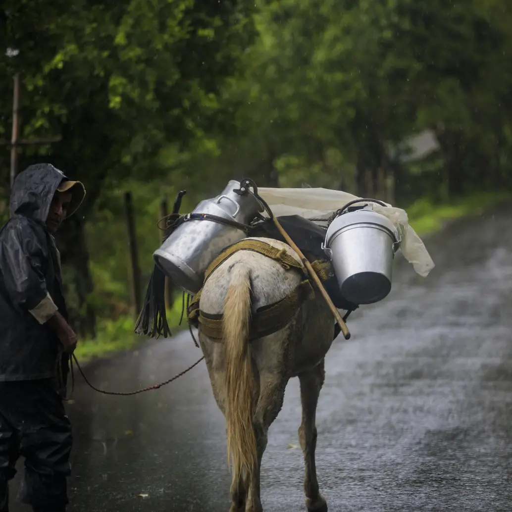 Descripción: Recorrido por desplazamiento forzado en el municipio de Briceño, por el frente 36 de las Farc. Lugar: Briceño. Fecha de evento: 21/10/2025. Foto: Andrés Camilo Suárez Echeverry.