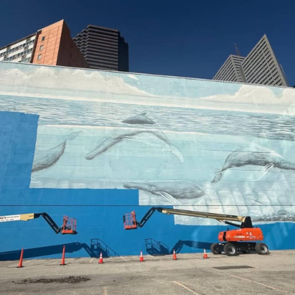 El artista Robert Wyland demandó a la FIFA por US$25 millones luego de que su emblemático mural de ballenas en Dallas, Texas, fuera cubierto para los preparativos del Mundial de 2026. Foto: redes sociales @wyland