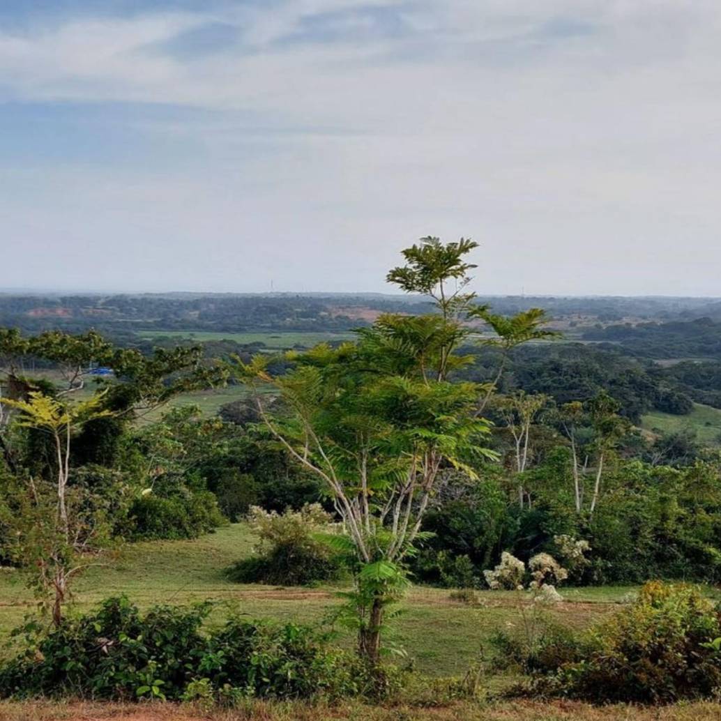 Imagen de referencia de la zona que sería declarada reserva. FOTO: Cortesía Corantioquia
