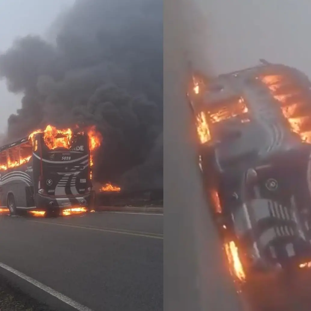 En redes sociales se compartieron imágenes de lo sucedido. Foto: Captura de video