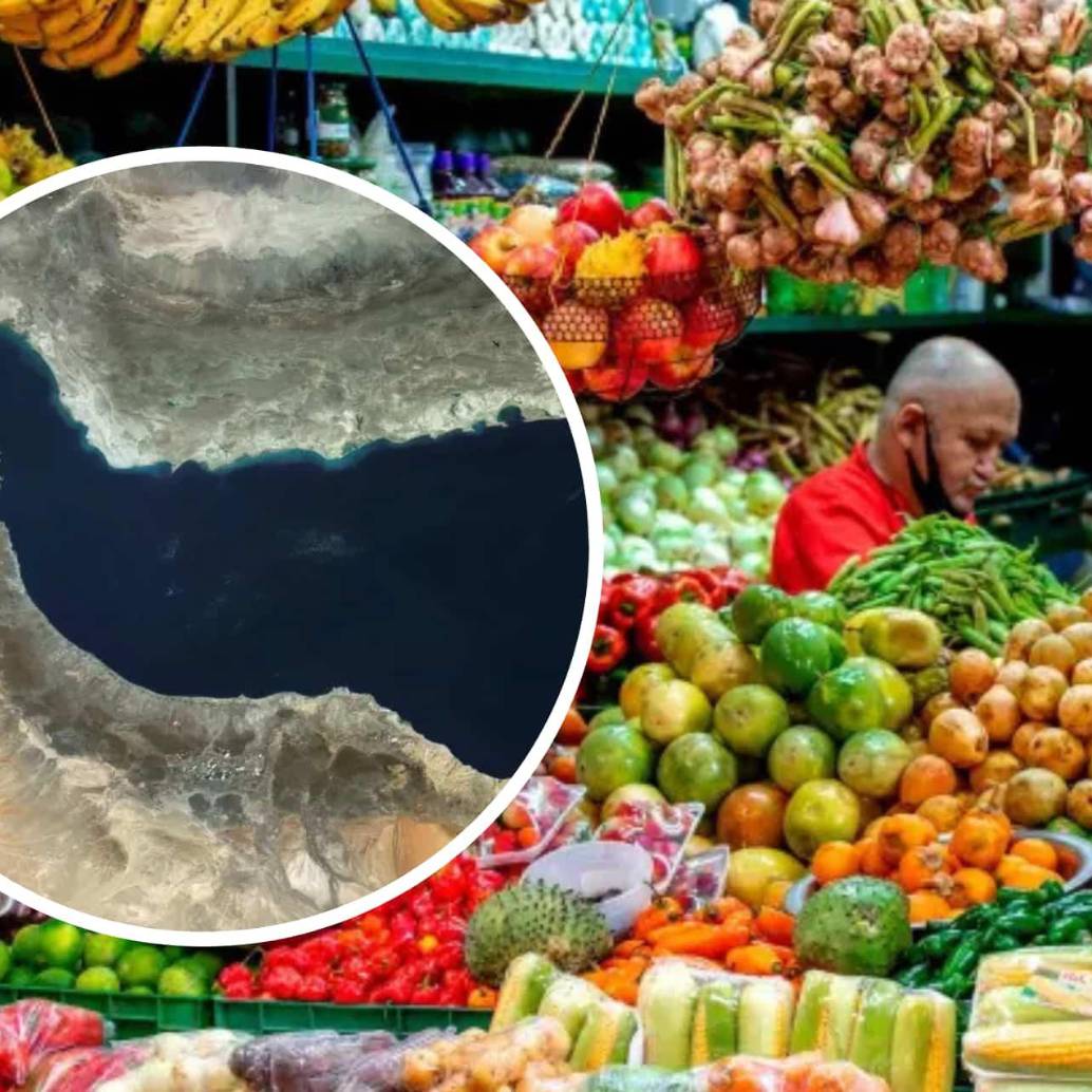 Crisis de Ormuz amenaza con encarecer alimentos en todo el mundo, según la FAO. Foto: Juan Antonio Sánchez