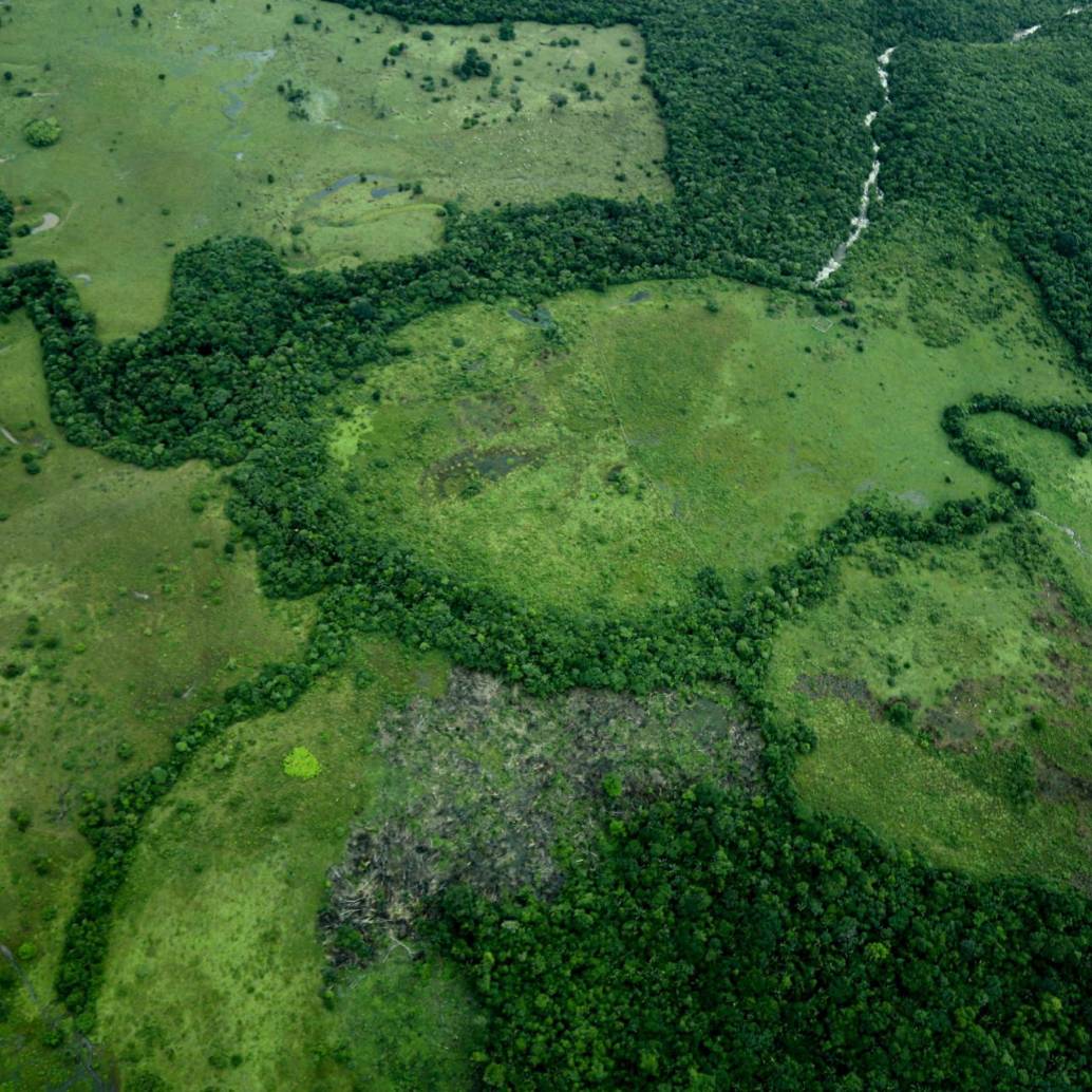 Colombia implementará un ambicioso paquete de acciones intersectoriales y fortalecerá la gobernanza de los grupos étnicos en sus territorios. FOTO: Colprensa