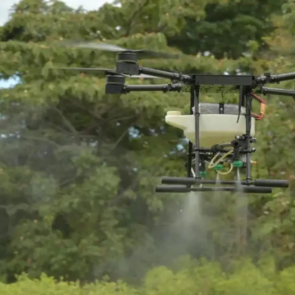 Este plan piloto cuenta con el aval del Programa de Erradicación de Cultivos Ilícitos mediante Aspersión Terrestre (Pecat) y espera las autorizaciones finales de la Autoridad Nacional de Licencias Ambientales (Anla). FOTO: Ministerio de Defensa