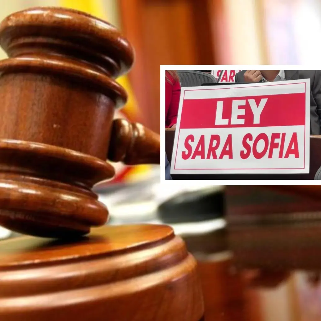 Según la Corte Constitucional, esta ley estatutaria crea y reglamenta la Alerta Colombia Ley Sara Sofía para ampliar la protección a todos los menores de 18 años. FOTO: Colprensa