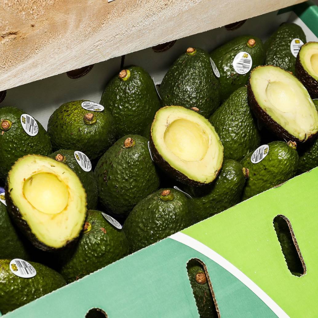 El aguacate Hass es la tercera fruta más exportada del país. Foto: Jaime Pérez