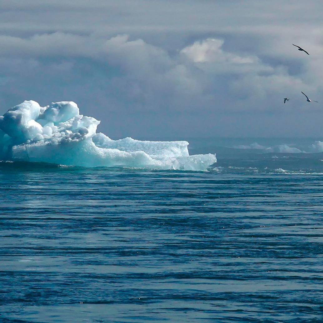 En la Conferencia de las Naciones Unidas sobre los Océanos, que se realiza en Niza, científicos y líderes de la sociedad civil alertan sobre el deterioro acelerado de los ecosistemas marinos y exigen compromisos reales para frenar la crisis. FOTO Pixabay