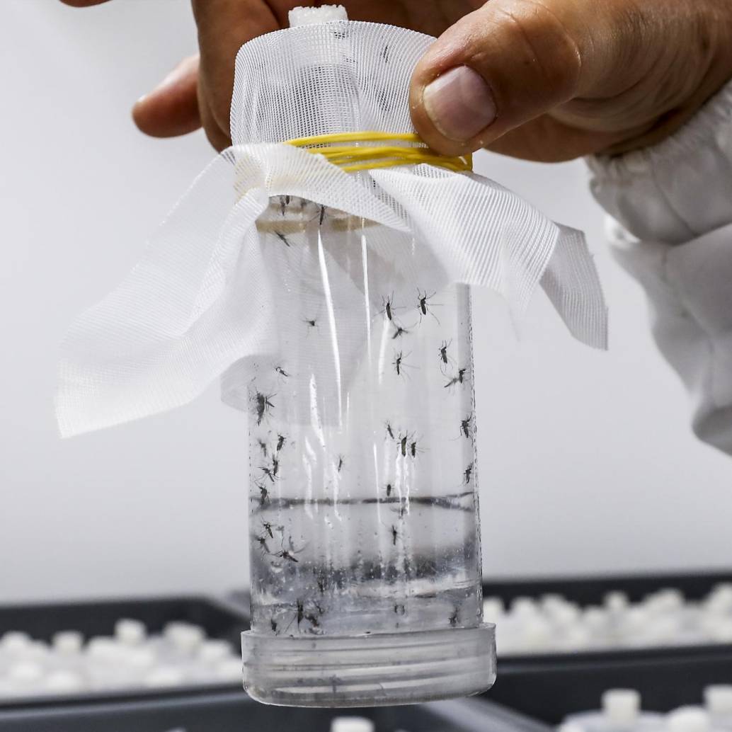 <b>No</b><b> propiciar espacios donde el agua se acumule o se estanque es esencial para combatir la propagación del dengue. Foto: Jaime Pérez Munévar</b>