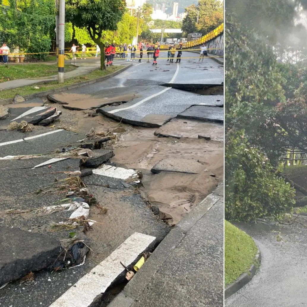 Álbol caido en Medellín. Foto: Juan Antonio Sánchez, EL COLOMBIANO - cortesía