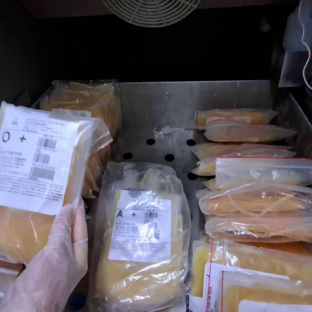 Una de las reservas de los bancos de sangre rionegreros. FOTO: Cortesía