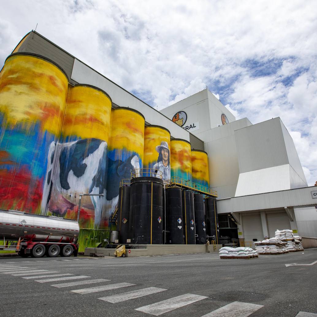 Grupo Bios, dueño de marcas reconocidas como Contegral, Nutriss, Mirringo, Friko O Finca fue uno de los conglomerados paisas que lideraron el ranking de ingresos operacionales en 2024. Foto: Edwin Bustamante